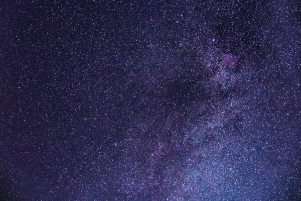 pexels-ysngdu-2644734
